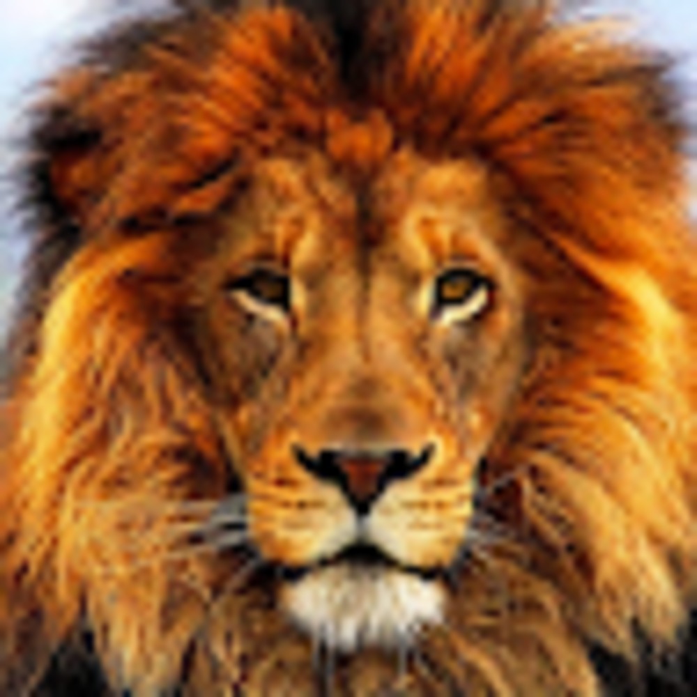 Meet your Posher, Lori